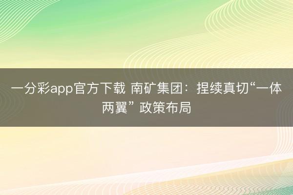一分彩app官方下载 南矿集团:捏续真切“一体两翼” 政策布局