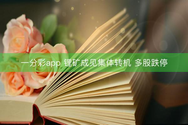 一分彩app 锂矿成见集体转机 多股跌停