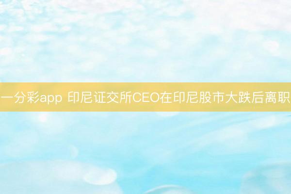 一分彩app 印尼证交所CEO在印尼股市大跌后离职