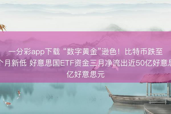 一分彩app下载 “数字黄金”逊色!比特币跌至两个月新低 好意思国ETF资金三月净流出近50亿好意思元