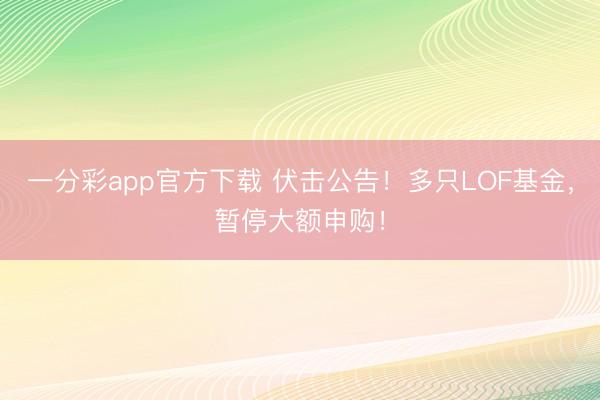 一分彩app官方下载 伏击公告！多只LOF基金，暂停大额申购！