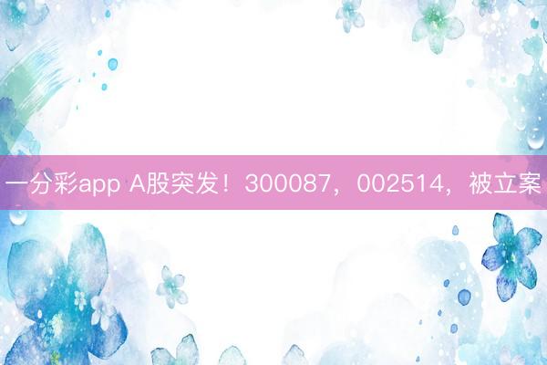 一分彩app A股突发！300087，002514，被立案