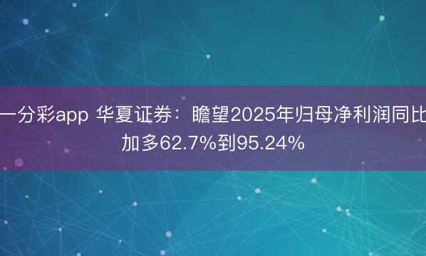 一分彩app 华夏证券：瞻望2025年归母净利润同比加多62.7%到95.24%