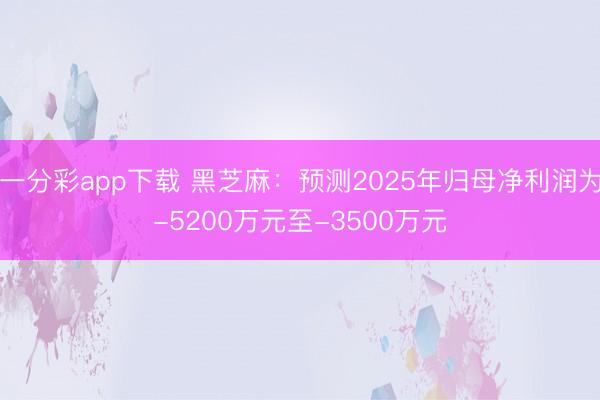 一分彩app下载 黑芝麻:预测2025年归母净利润为-5200万元至-3500万元