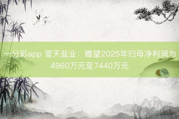 一分彩app 雪天盐业：瞻望2025年归母净利润为4960万元至7440万元