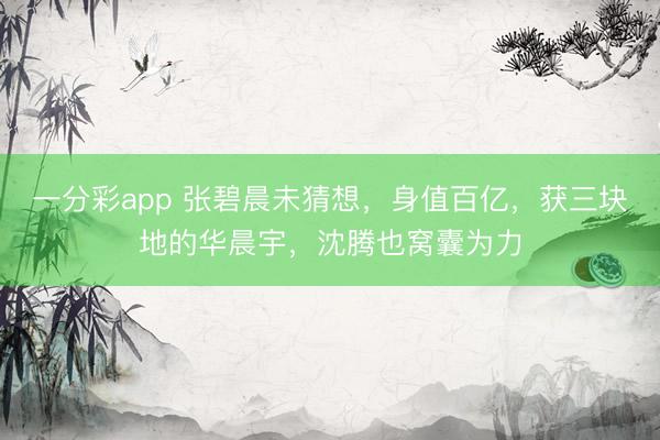 一分彩app 张碧晨未猜想,身值百亿,获三块地的华晨宇,沈腾也窝囊为力