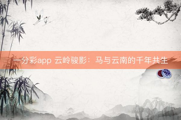 一分彩app 云岭骏影：马与云南的千年共生