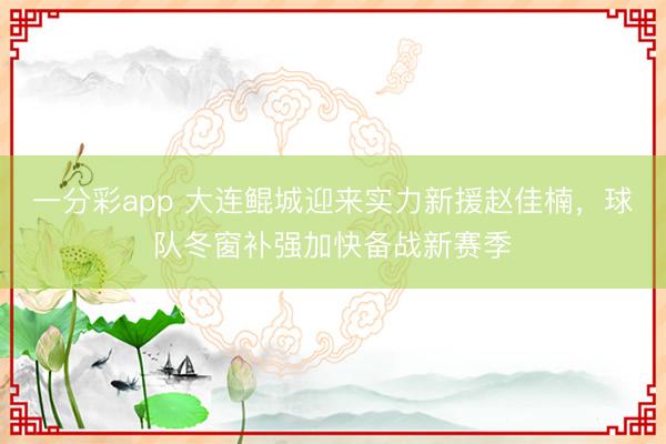 一分彩app 大连鲲城迎来实力新援赵佳楠,球队冬窗补强加快备战新赛季