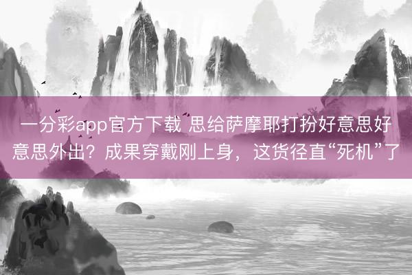 一分彩app官方下载 思给萨摩耶打扮好意思好意思外出?成果穿戴刚上身,这货径直“死机”了