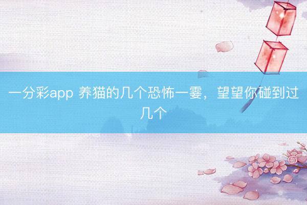 一分彩app 养猫的几个恐怖一霎，望望你碰到过几个