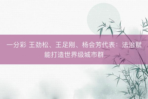 一分彩 王劲松、王足刚、杨会芳代表：法治赋能打造世界级城市群