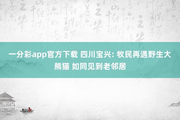 一分彩app官方下载 四川宝兴: 牧民再遇野生大熊猫 如同见到老邻居