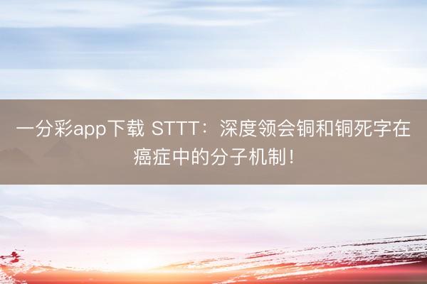 一分彩app下载 STTT：深度领会铜和铜死字在癌症中的分子机制！