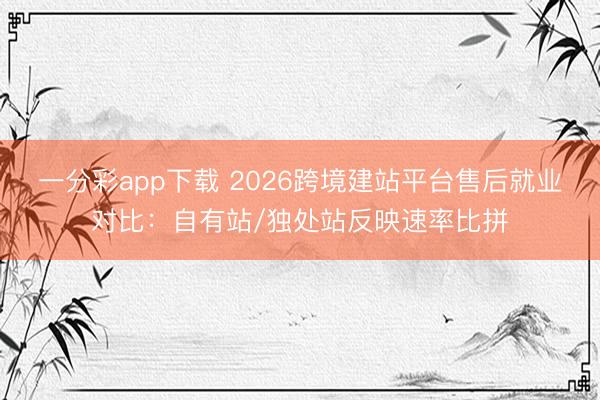 一分彩app下载 2026跨境建站平台售后就业对比：自有站/独处站反映速率比拼