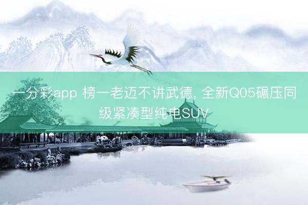 一分彩app 榜一老迈不讲武德， 全新Q05碾压同级紧凑型纯电SUV
