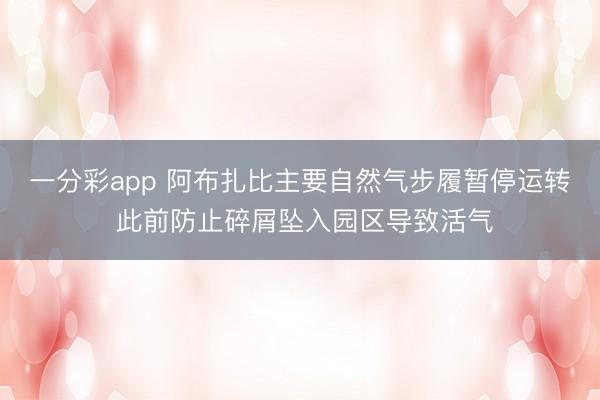 一分彩app 阿布扎比主要自然气步履暂停运转 此前防止碎屑坠入园区导致活气