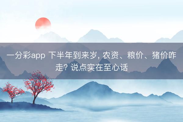 一分彩app 下半年到来岁, 农资、粮价、猪价咋走? 说点实在至心话