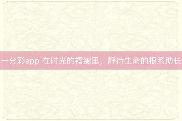 一分彩app 在时光的褶皱里,静待生命的根系助长