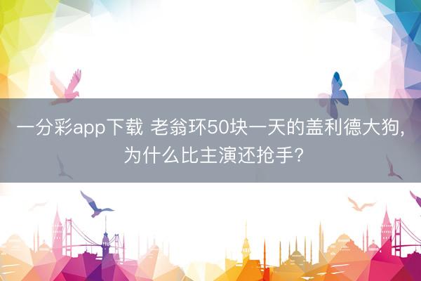 一分彩app下载 老翁环50块一天的盖利德大狗， 为什么比主演还抢手?