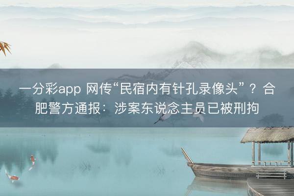 一分彩app 网传“民宿内有针孔录像头” ？合肥警方通报：涉案东说念主员已被刑拘