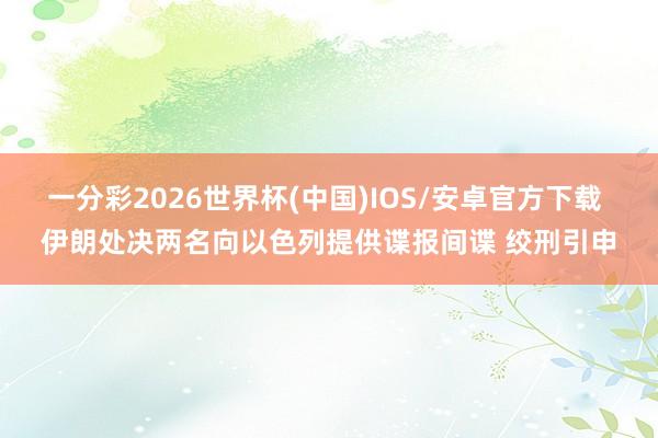 一分彩2026世界杯(中国)IOS/安卓官方下载 伊朗处决两名向以色列提供谍报间谍 绞刑引申