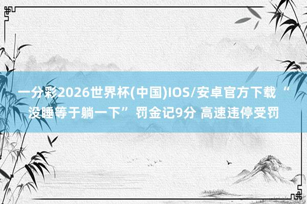 一分彩2026世界杯(中国)IOS/安卓官方下载 “没睡等于躺一下” 罚金记9分 高速违停受罚