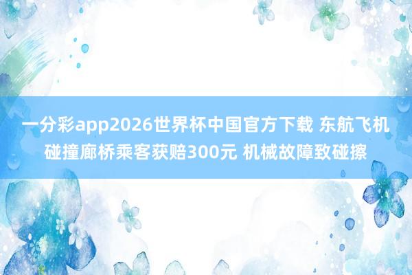 一分彩app2026世界杯中国官方下载 东航飞机碰撞廊桥乘客获赔300元 机械故障致碰擦