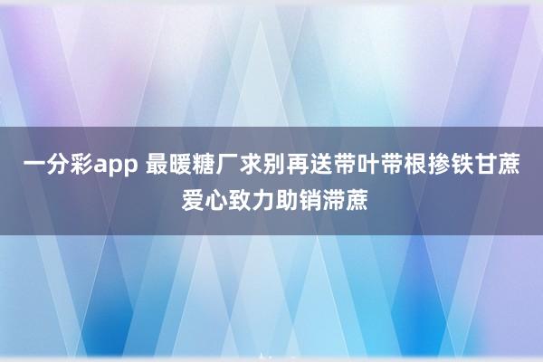 一分彩app 最暖糖厂求别再送带叶带根掺铁甘蔗 爱心致力助销滞蔗