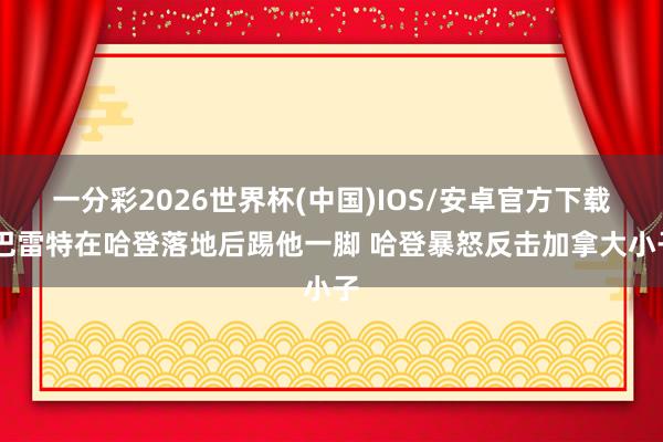 一分彩2026世界杯(中国)IOS/安卓官方下载 巴雷特在哈登落地后踢他一脚 哈登暴怒反击加拿大小子