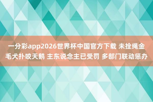 一分彩app2026世界杯中国官方下载 未拴绳金毛犬扑咬天鹅 主东说念主已受罚 多部门联动惩办