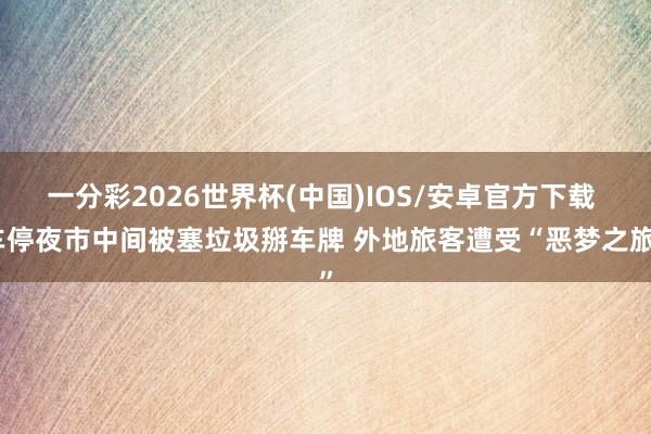 一分彩2026世界杯(中国)IOS/安卓官方下载 车停夜市中间被塞垃圾掰车牌 外地旅客遭受“恶梦之旅”