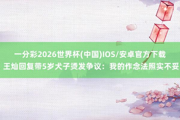 一分彩2026世界杯(中国)IOS/安卓官方下载 王灿回复带5岁犬子烫发争议：我的作念法照实不妥