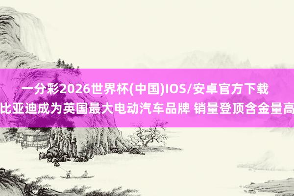 一分彩2026世界杯(中国)IOS/安卓官方下载 比亚迪成为英国最大电动汽车品牌 销量登顶含金量高