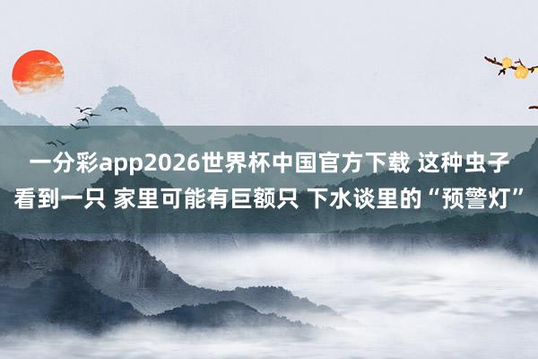 一分彩app2026世界杯中国官方下载 这种虫子看到一只 家里可能有巨额只 下水谈里的“预警灯”