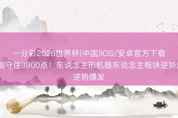 一分彩2026世界杯(中国)IOS/安卓官方下载 创指守住3900点！东说念主形机器东说念主板块逆势爆发