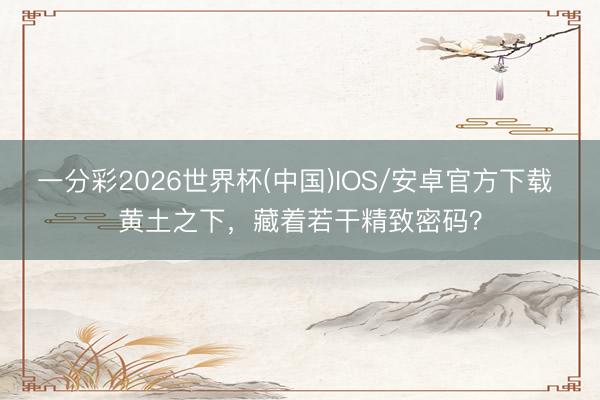 一分彩2026世界杯(中国)IOS/安卓官方下载 黄土之下，藏着若干精致密码？