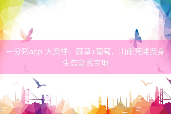 一分彩app 大变样！藏草+葡萄，山南荒滩变身生态富民宝地