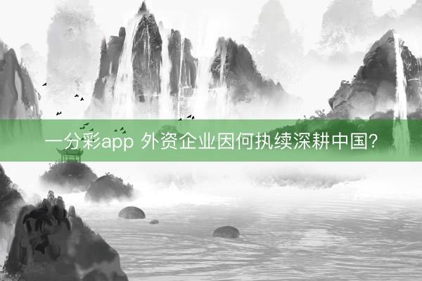 一分彩app 外资企业因何执续深耕中国？