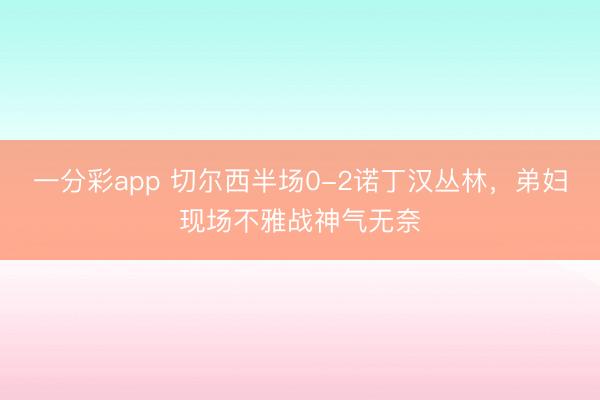 一分彩app 切尔西半场0-2诺丁汉丛林，<a href=