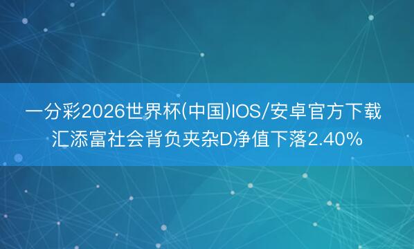 一分彩2026世界杯(中国)IOS/安卓官方下载 汇添富社会背负夹杂D净值下落2.40%