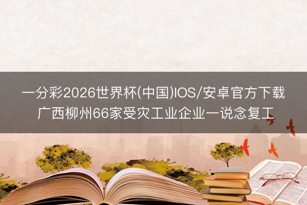 一分彩2026世界杯(中国)IOS/安卓官方下载 广西柳州66家受灾工业企业一说念复工