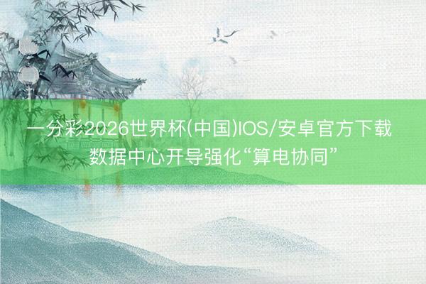 一分彩2026世界杯(中国)IOS/安卓官方下载 数据中心开导强化“算电协同”