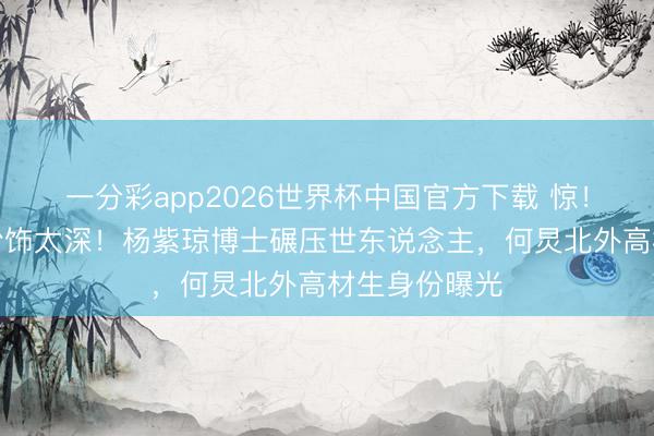 一分彩app2026世界杯中国官方下载 惊！文娱圈学霸粉饰太深！杨紫琼博士碾压世东说念主，何炅北外高材生身份曝光