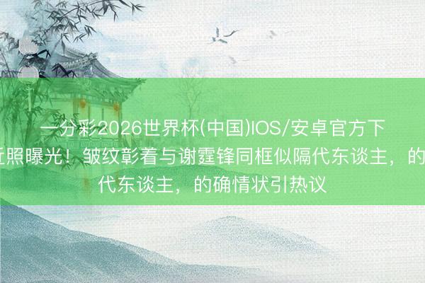 一分彩2026世界杯(中国)IOS/安卓官方下载 王菲素颜近照曝光！皱纹彰着与谢霆锋同框似隔代东谈主，的确情状引热议