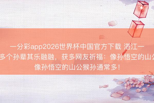 一分彩app2026世界杯中国官方下载 湛江一家庭9子女30多个孙辈其乐融融,获多网友祈福:像孙悟空的山公猴孙通常多!