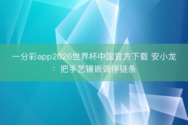 一分彩app2026世界杯中国官方下载 安小龙：把手艺镶嵌调停链条