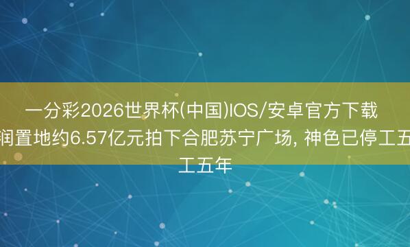 一分彩2026世界杯(中国)IOS/安卓官方下载 华润置地约6.57亿元拍下合肥苏宁广场， 神色已停工五年