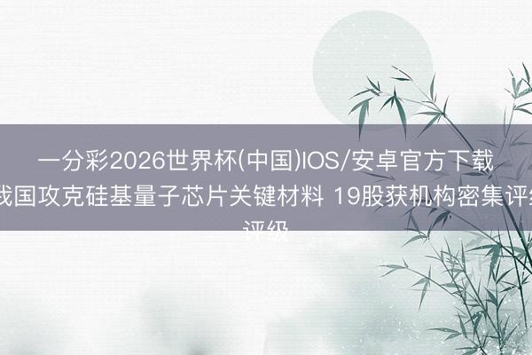 一分彩2026世界杯(中国)IOS/安卓官方下载 我国攻克硅基量子芯片关键材料 19股获机构密集评级